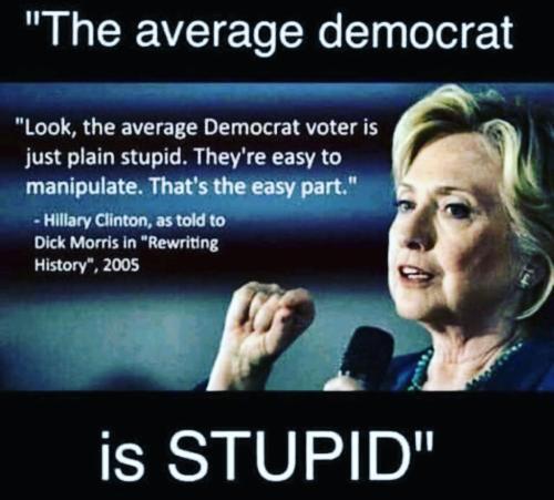 THE AVERAGE DEMOCRAT