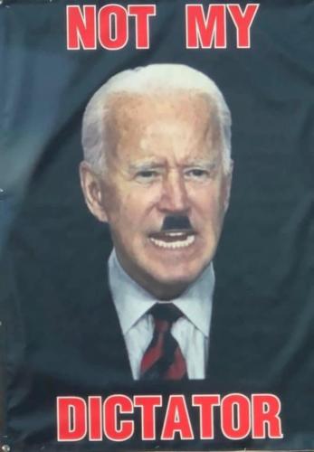 image_1638560749.941