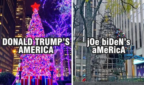 a9b72bbb4b8a7b64c8821b39511e50c8_500x0