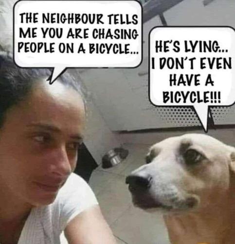 I dn't have a bicycle