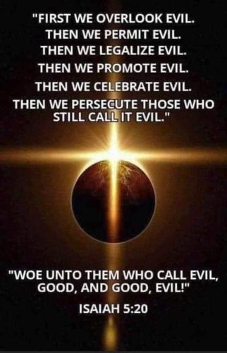 269871888_2053214041522310_2691338359918543585_n