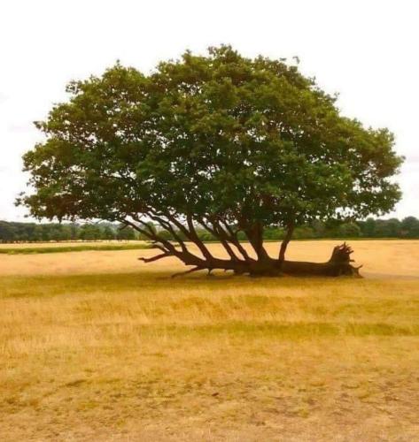 92B091C1-A6B5-43EE-9D4A-591C3EC8F86E