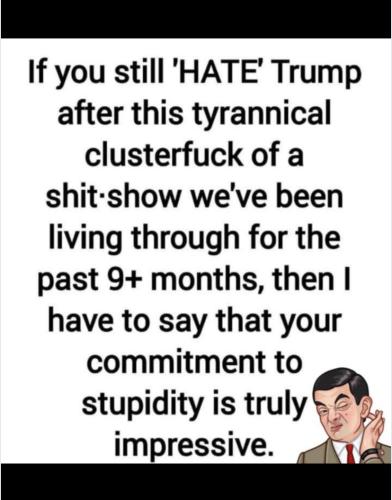 CE2FB54C-322A-4871-809C-46C165E4E253