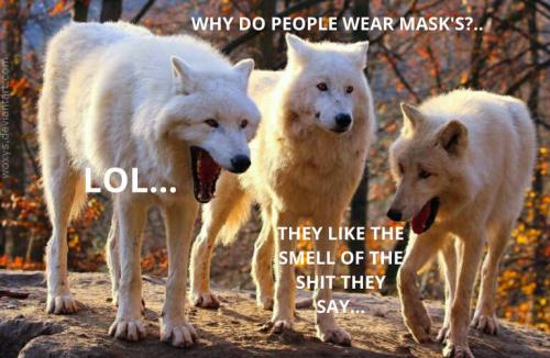 13e71f14a3a6fbafe22cbf5fdcfc30b1_500x0