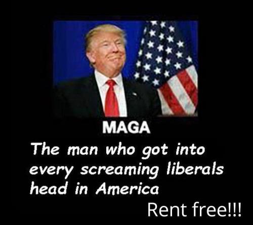 img - 2021-12-13T220958.170