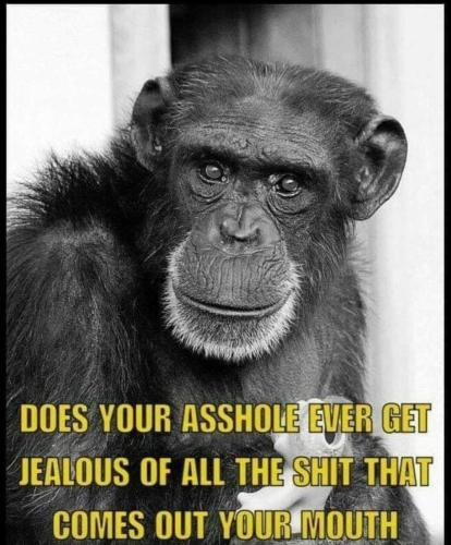 a5f58197-3efb-4363-9eb6-880835061273