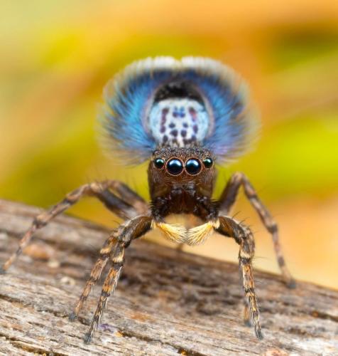 74E8C04C-A504-4650-9753-6C05D1CC3264