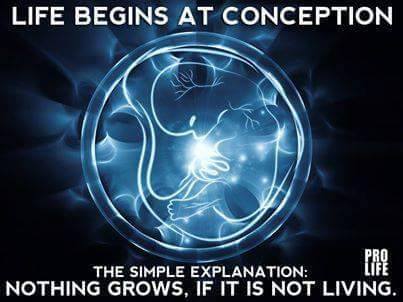 Life begins at conception