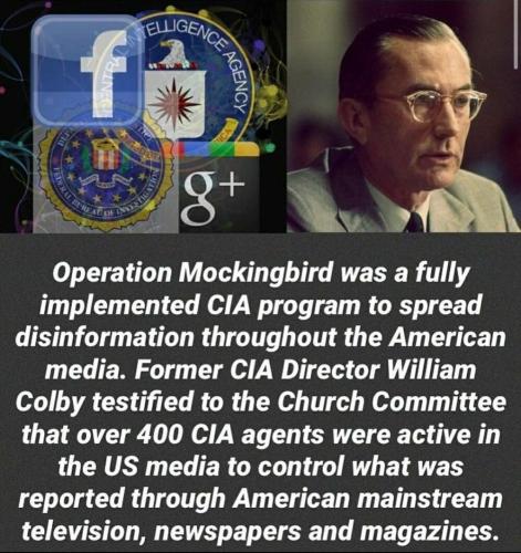 mockingbird