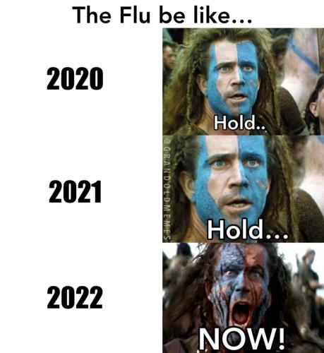 Flu2022