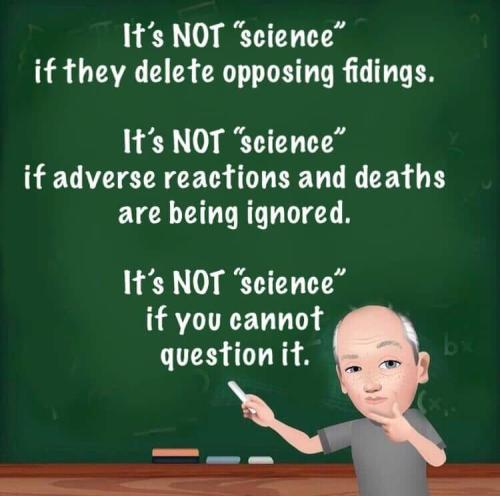 264910928_4934186936632750_1543445552554390005_n