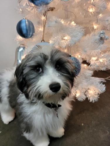 Resized952021120195113234