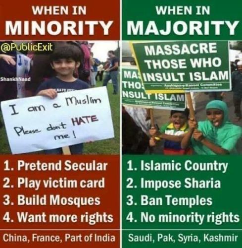 e5683faf85630b7bb732e29480127e87_1024