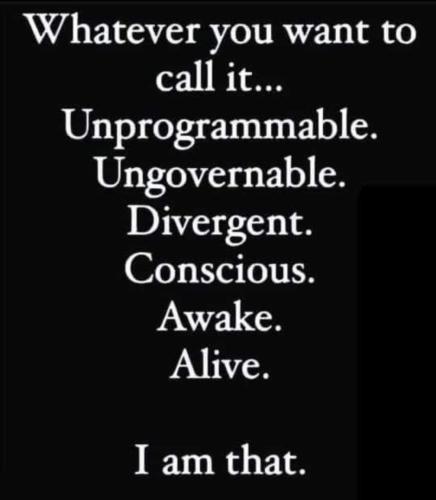 59E6F2A5-A54B-40BB-922E-031C85F6FB40