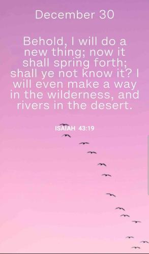 Screenshot_20211230-195918_Signal