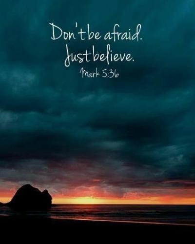 IMG_20211208_195009_427