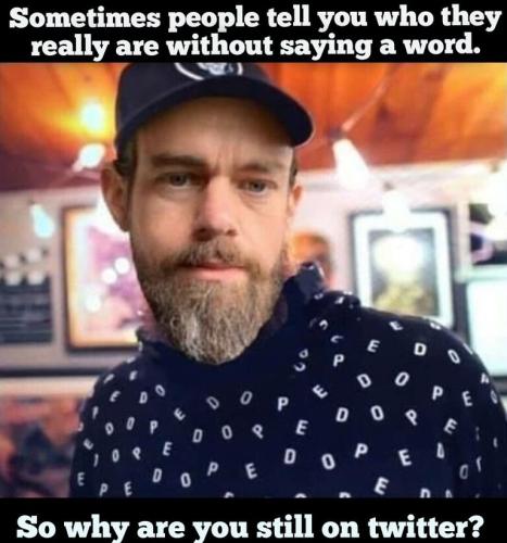 a0b04269ced844c215ef7e6b52556856_500x0