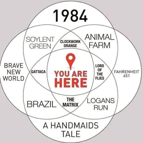 8F5793D3-9D6B-45F2-93FD-5DB604BF23E6