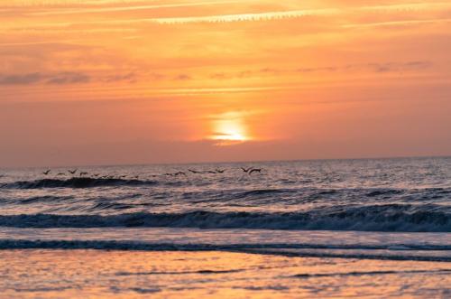 FollyBeachJpegs-00002-770x510