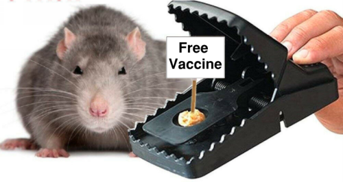 Free Vax