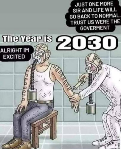 The year is 2030