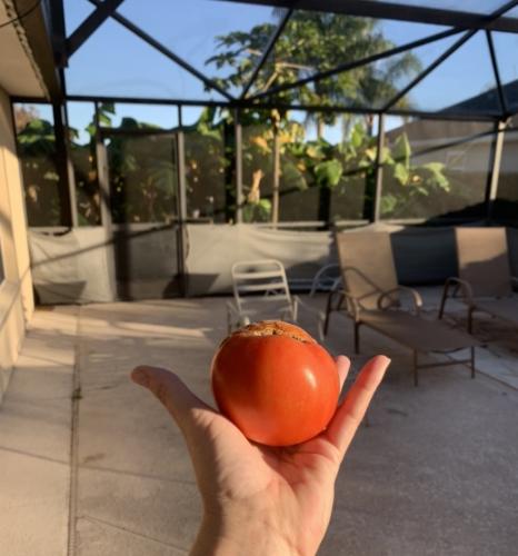 A90F29A4-699B-45E4-98FC-B7FC60A2CB3F