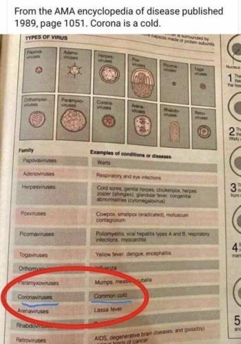 CommonCold