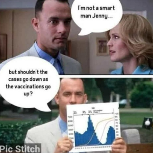 Capture+_2021-12-08-12-55-42(1)