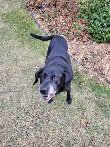 IMG_20211224_065738_550