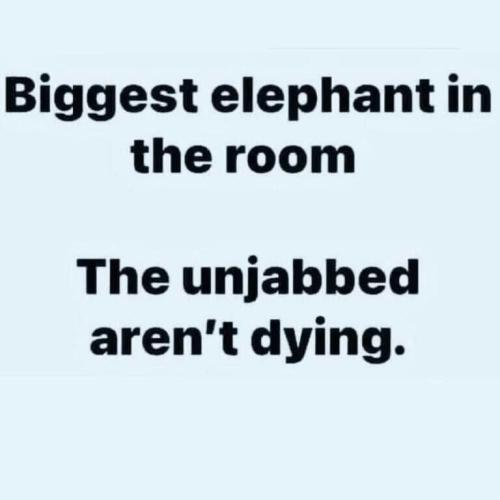 287cd366caec73a4d283e8108c38304d_500x0