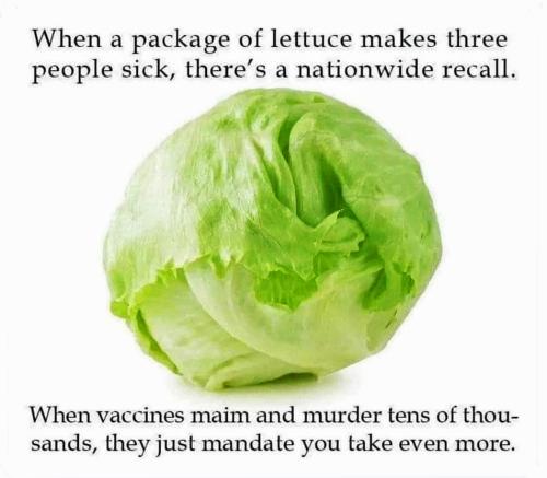 M lettuce