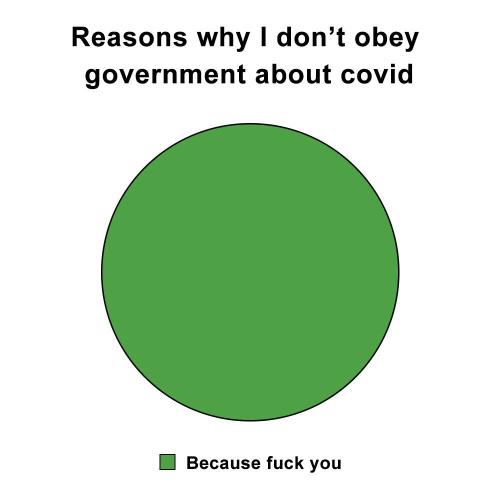 image_1638655893.658