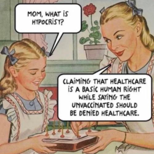 08f593de4baac628d9c3cf18fcbaf852_500x0