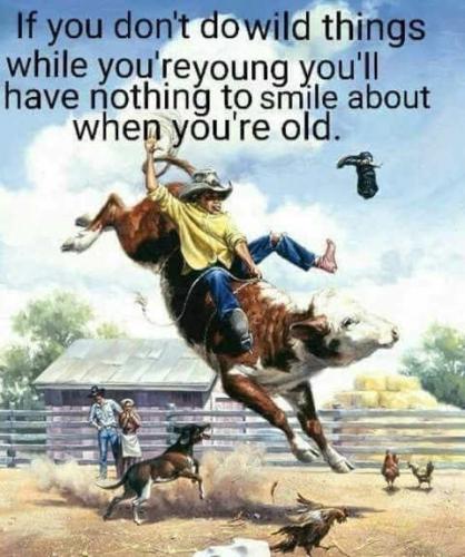 message-if-dont-do-wild-things-when-young-nothing-to-smile-when-old