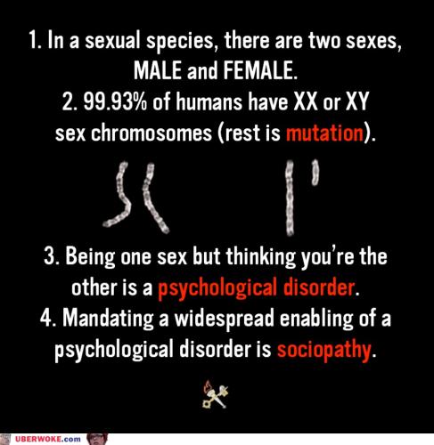 BF44D501-E2B2-4D9B-8721-F9B4848545C6