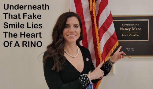 Nancy Mace Heart of a RINO
