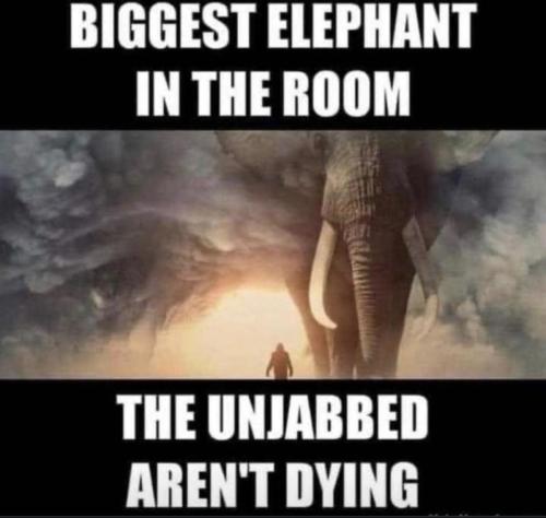 BIGGEST ELEPHANT