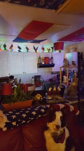 Resized_20211212_165232