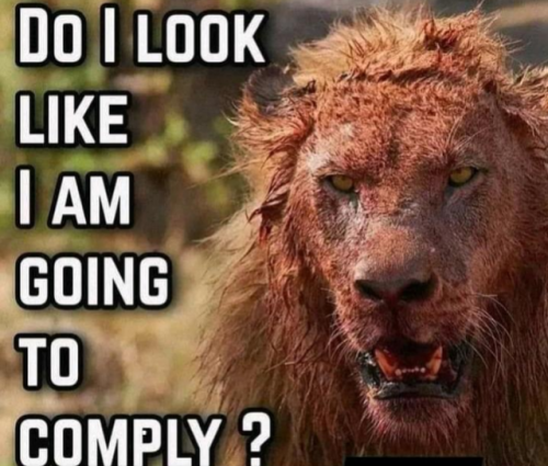 E01D63C9-9760-457D-A6B3-177DD424EA84