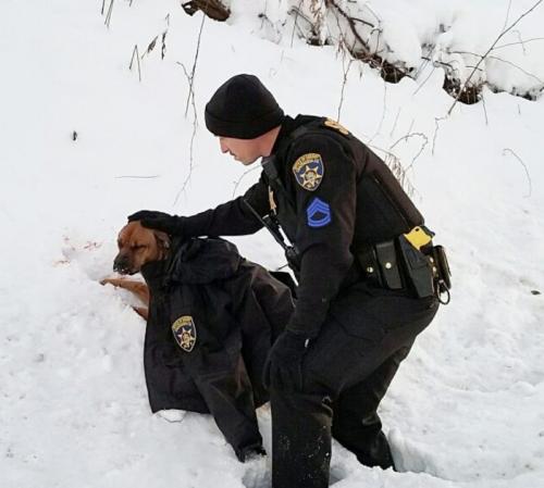 Police Officer helps injured dog.