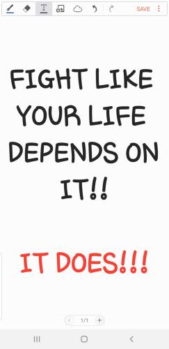 Screenshot_20211206-161114_S Note