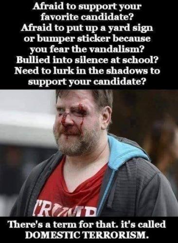 DemsViolent11