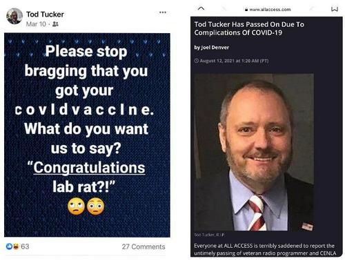 lab rat