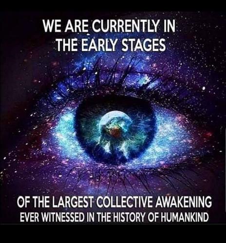 awaken