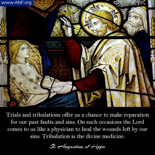 521CB40F-8D93-4234-9BBF-0958337EF983