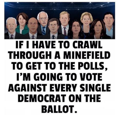 F vote against