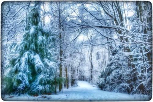 373AB44A-518D-4735-A0AA-3E9C5E5D3856