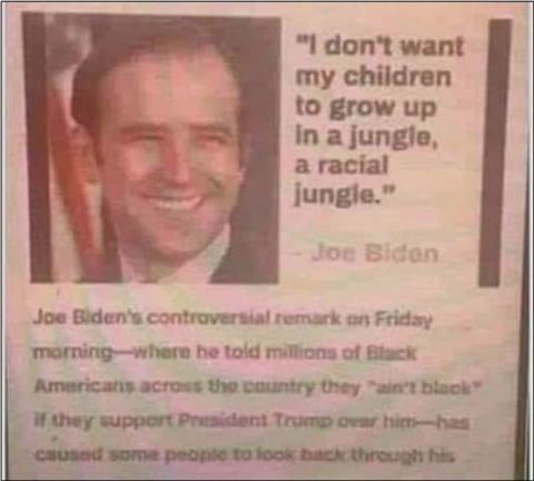 Biden is a Piece of Shit Liar - 3