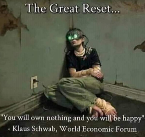 img - 2021-12-08T063813.761