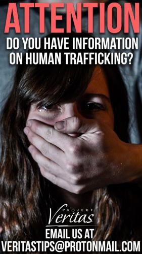 4fc3e15d-4dee-45a8-8f1a-5521c957945ed